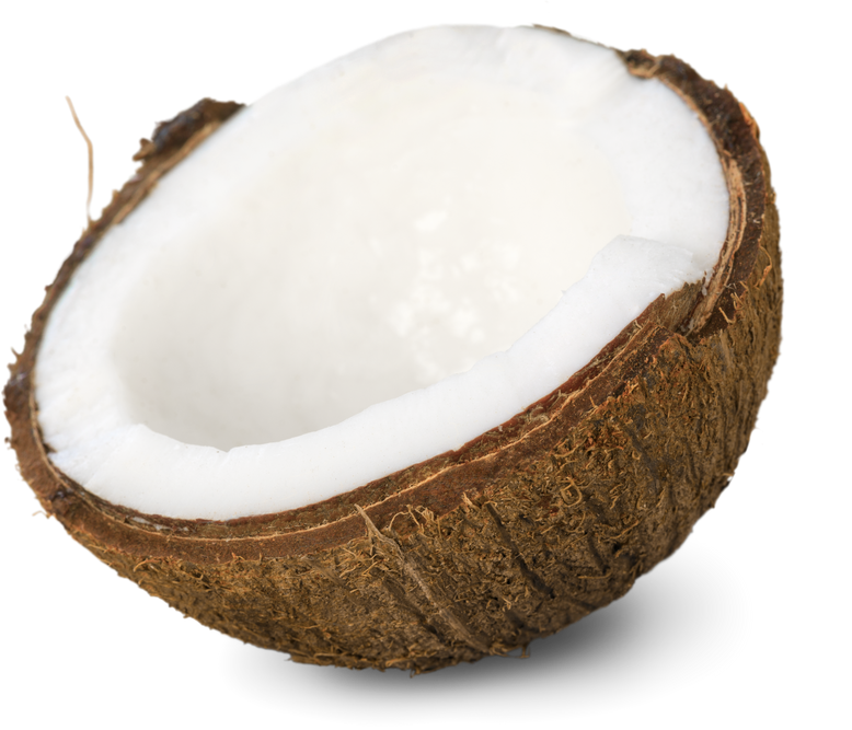 Coconut.